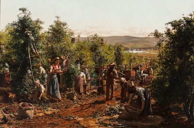 The Harvest, Santa Gertrudes Farm - Araras, SP by Antonio Ferrigno